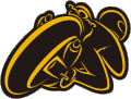 This logo is the property of Kiwi Biker. Copyright  2003